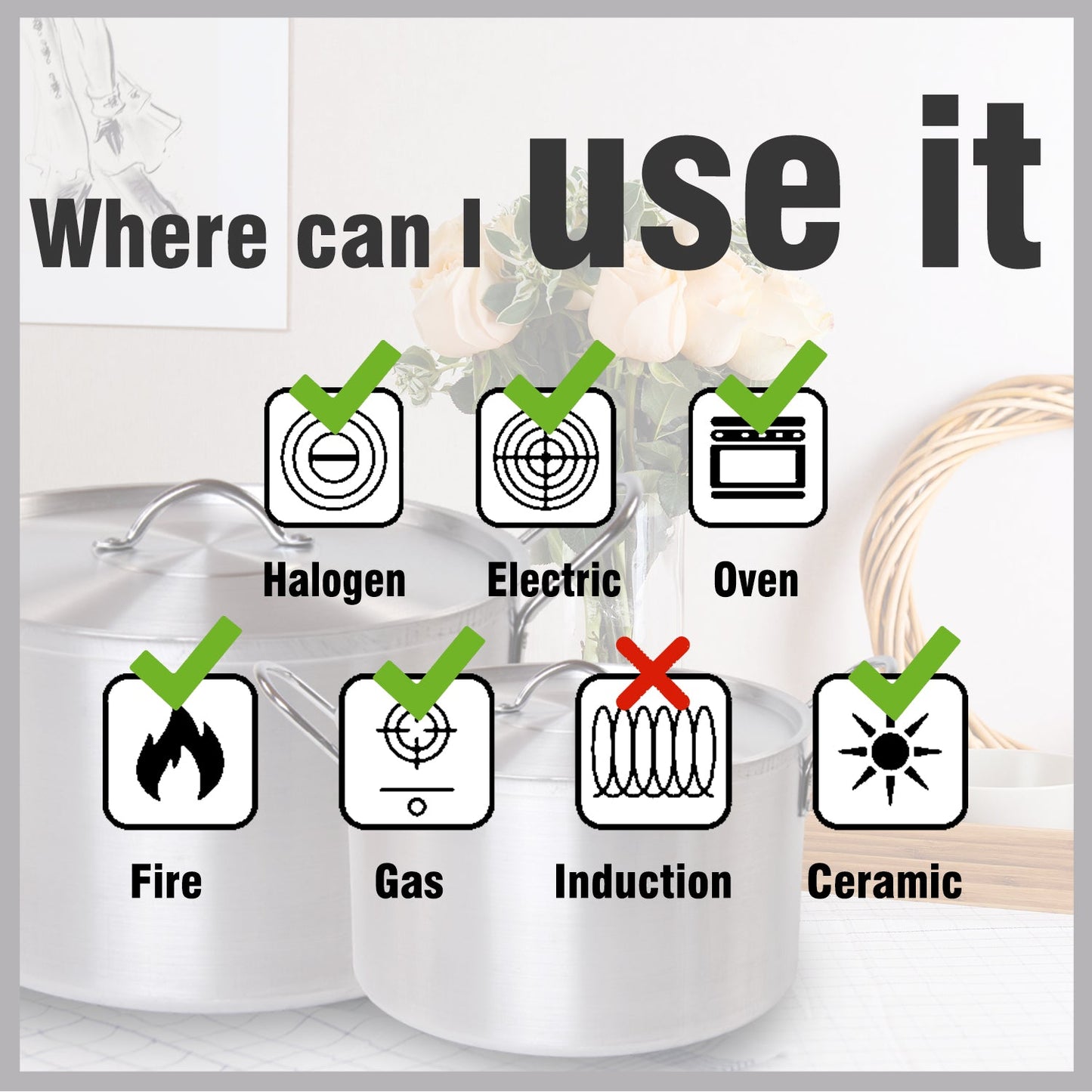 Bon Voyage Extra Heavy Duty Catering Pot individual